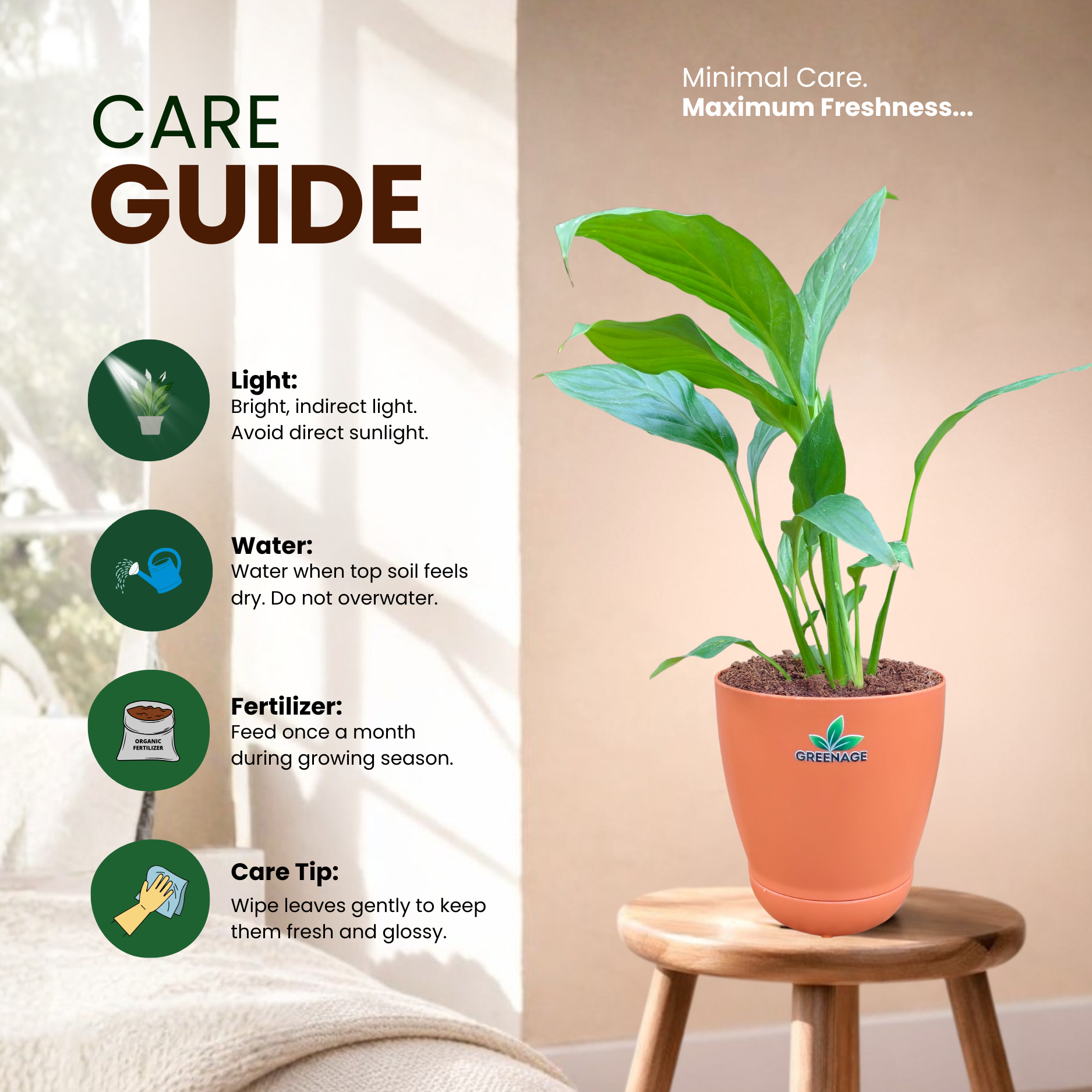 GREENAGE⢠Peace Lily (Spathiphyllum) with Self-Watering Pot | Indoor Air Purifying Plant - Image 5